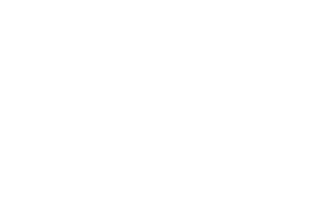Criptec_logo_white