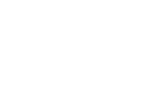 IPN_logo_white