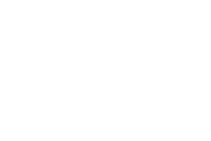 MercadoLibre_logo_white