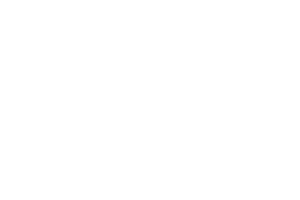 DigitalNaoXTecmilenio_logo_white