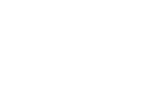 FetchFunix_logo_white