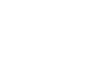 Kavak_logo_white