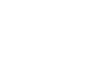 MotusDAO_logo_white