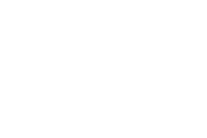 Zillow_logo_white