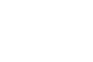 aniday_logo_white