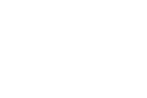 avalanche_logo_white