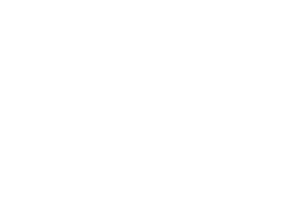 heineken_logo_white