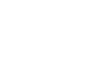 GitHubCDMX_logo_white
